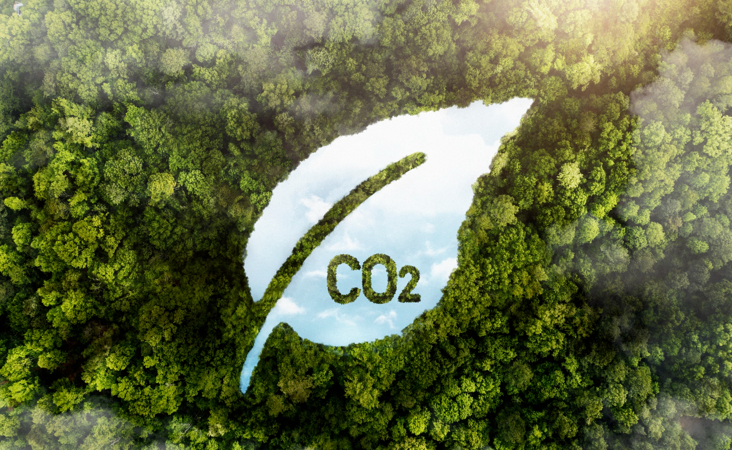 Carbon Footprints